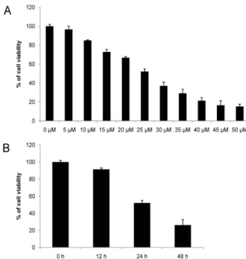 Fig. 1. Effect of curcumintreatment on viability of SCC25. (A)  Cells were treated with curcumin (0∼50 μM) for 24 h