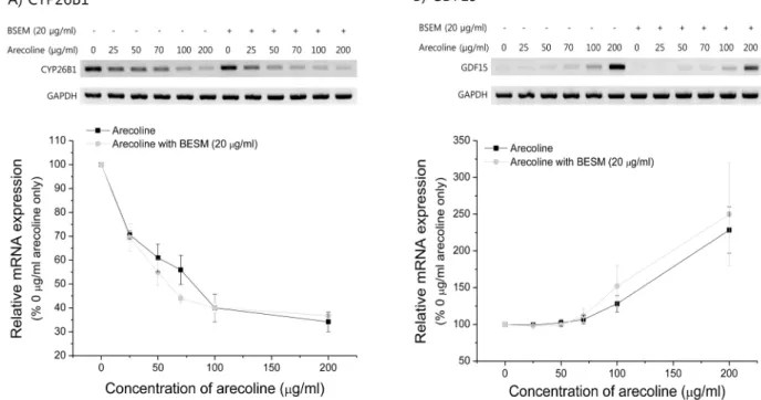 Fig. 4. BESM has no effects on arecoline‐mediated genotoxicity.