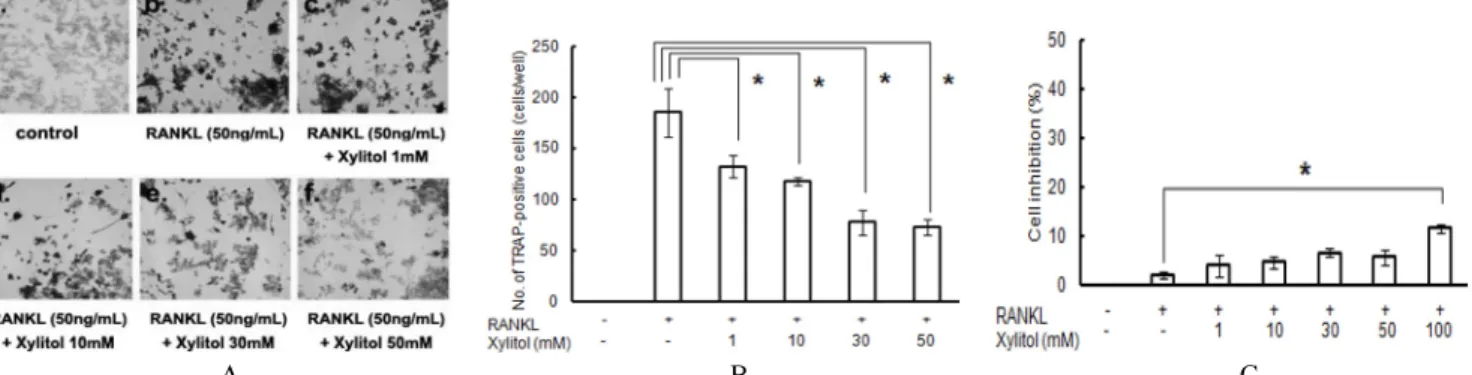 Fig. 4. Expression of RANKL and OPG protein in mouse cal- B