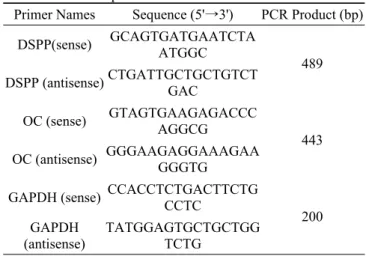 Table 1. Primer sequences for PCR