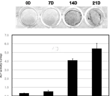 Fig. 1. Stem cell surface marker protein expression of Raw  264.7 cells and hDPSCs. In FACS analysis of (A) Raw 264.7  cells and (B) hDPSCs for the expression of stem cell surface  marker protein, CD24 and CD44, hDPSCs were positive for  the stem cell  mar