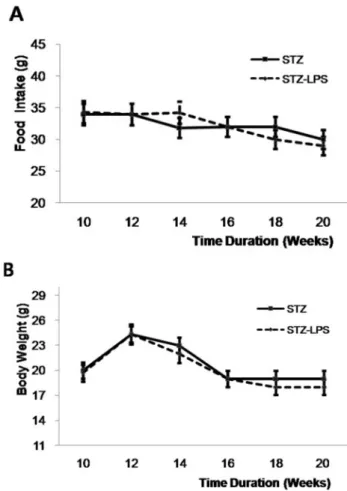 Fig. 2. The daily food uptake and body weight of mice. A daily  food intake (g/day) was checked in STZ- and STZ-LPS group  (A)