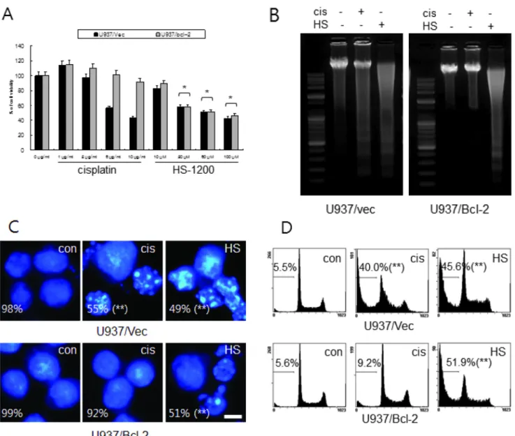 Fig. 1. HS-1200 overcomes the resistance conferred by Bcl-2 in U937 cells via inducing apoptosis