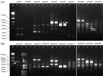 Fig. 1. Differentially expressed genes in gingiva from healthy  and periodontitis patient