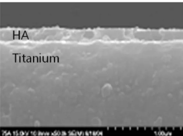 Fig. 3. EDX profile of dentin-derived HA coated titanium surface.