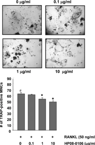 Fig. 6. Effect of HP08-0106 on hydrixyproline (HYP) content. Rat hepatic stellate HSC-T6 cells were cultured in DMEM, and treated with HP08-0106 (10 µg/ml) for 24 h