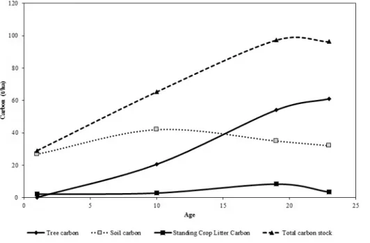 Fig. 1. Carbon stock at the study  plots.