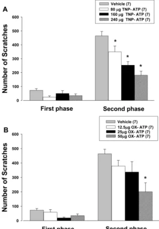 Fig. 2. Time course of changes in thermal hypersensitivity (A) and von Frey filament scores, (B) following subcutaneous injection of CFA