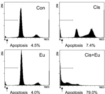 Fig. 5. The kinetic analysis of the effect of co-treatment on the G361 cell cycle progression and the induction of apoptosis