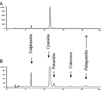 Fig. 6. pH dependent UV-Vis spectrum of the extract of black soy- soy-bean seedcoat. (A), UV-spectrum in 200 mM phosphate  acetoni-trile, pH 1.5; (B), UV-spectrum in 30 mM borate, 100 mM SDS, pH 9.0