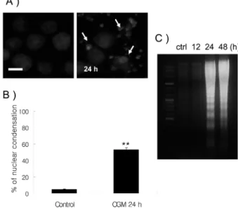 Fig. 1. Cytotoxicity of CGM in CGM-treated HL-60 cells as deter- deter-mined by MTT assay (A and B)
