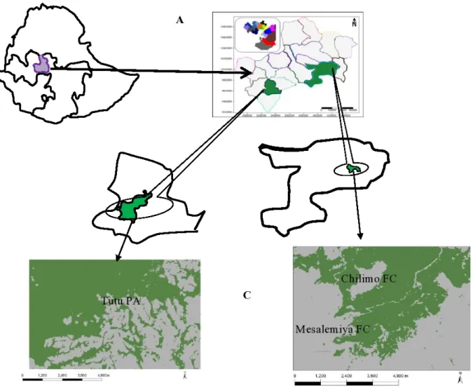 Fig. 1. Location of the study site. (A) Location of west shoa Zone in Ethiopia. (B) Location of Jibat and Dendi district in West Shoa Zone