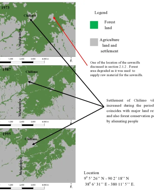 Fig. 2. Forest cover of Chilimo be- be-tween 1973 (Feudal era), 1987  (Socialist era) and 1995 (Current  regime).