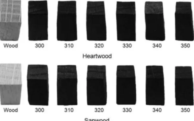 Fig. 1. The carbonized wood blocks of Quercus variabilis at different tem- tem-peratures (cited from Kwon and Kim 2007).
