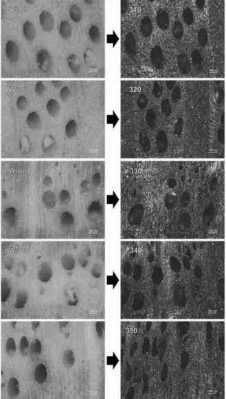 Fig. 10. The change of cell wall thickness of two species during carbon- carbon-ization at different temperatures.