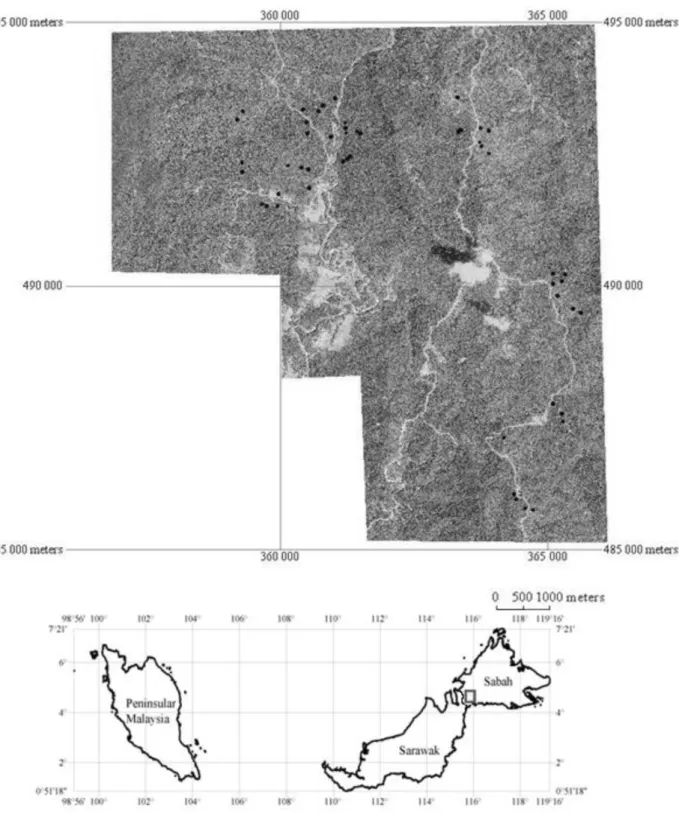 Fig. 1. The preprocessed IKONOS 2 image of the study area. Red box indicates the location of the image