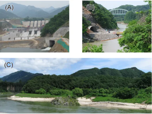 Fig. 2. The coffer dam (A), di- di-version tunnel (B) and riparian  forest (C) of the Hantangang  Dam.