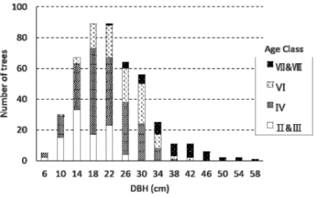 Fig. 3. Cumulative distribution of standing trees based on DBH class by  age class. 이었으며 재적이 가장 큰 지역은 춘천 신이리 지역으로 평균직경 23.0 cm, 임분밀도 1,599본/ha이었다