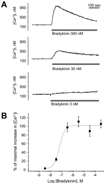 Fig. 1. Bradykinin-induced changes in intracellular Ca 2+  concen- concen-tration in human oral squamous cell carcinoma HSC-3 cells