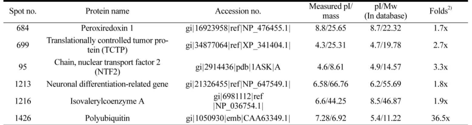 Table 2. Identities of significantly down-regulated proteins in PC12 cells 1) .