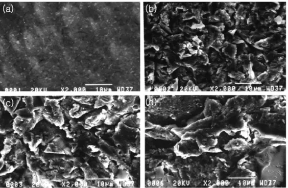 Fig. 2. Comparison of percent cell adhesion of MC3T3-E1 cells and RAW 264.7 cells on titanium discs with different roughness at various periods