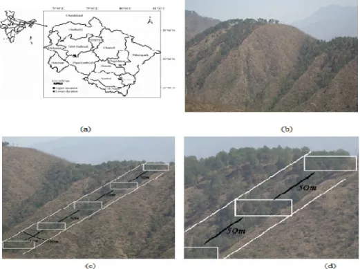 Fig. 1. Location map (a) and other  site conditions (b-d) of the study  area.