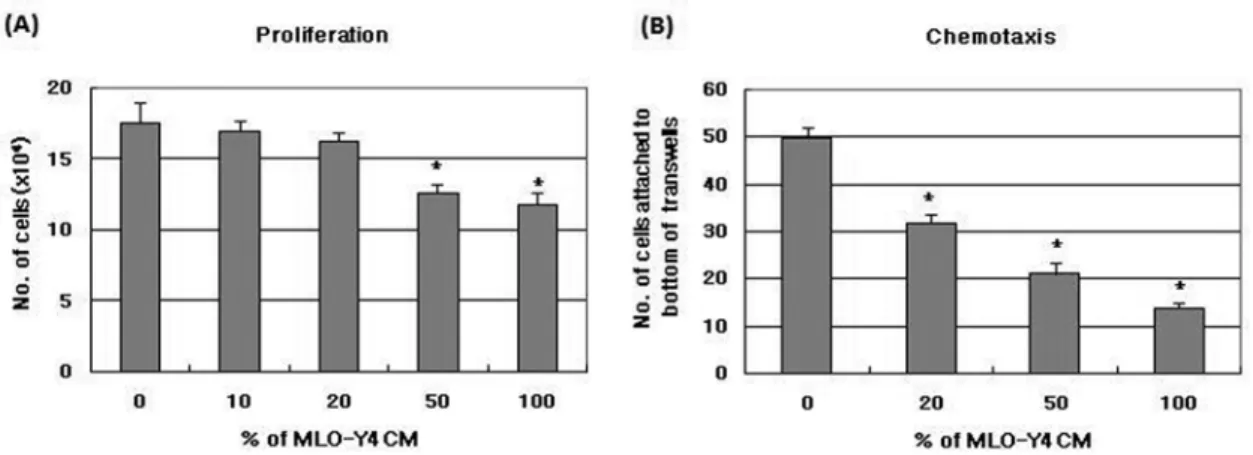 Fig. 2. The effect of MLO-Y4 conditioned medium (CM) on proliferation (A) and transmigration (B) of 2T3 cells