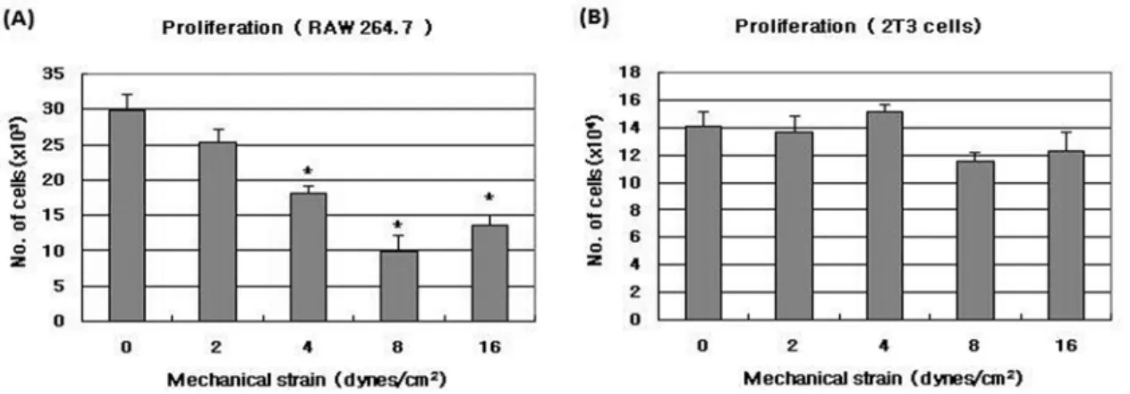 Fig. 4. The effect of pulsatile fluid flow shear stress on cell migration of osteoclast precursor cells (A) and osteoblastic cells (B) induced by MLO-Y4 conditioned medium
