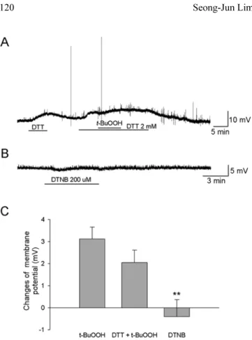Fig. 3. t-BuOOH-induced membrane depolarization requires PLC activation and Ca 2+  release from internal stores