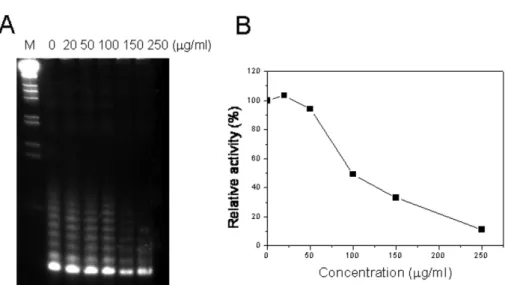 Fig. 2. Effect of methanol extract of Curcuma rhizome on telomerase in oral squamous cell carcinoma, KB cells