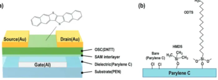Figure  2.  AFM  images  of  50  nm  thick  DNTT  deposited  on the  various  organic  interlayers.