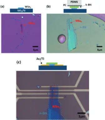 Figure  5.  An optical microscope image of WSe 2