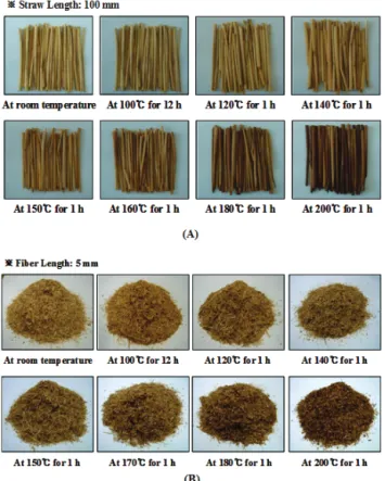 Figure 3. Digital images showing the appearance of (A) 