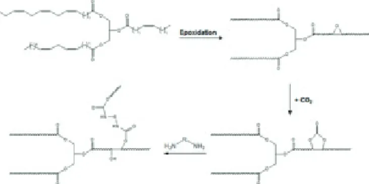 Figure 11. Reaction of five-membered cyclic carbonate  soybean oil with amine for non-isocyanate bio-polyurethane  polymerization  [33,38].