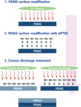 Figure 1. Schematic presentation for physical surface  modification  process of PDMS.