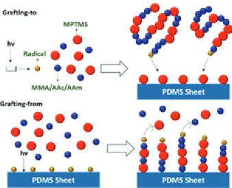Table 1. Recipe for the synthesis of alkoxysilane-functionalized acrylic polymer precursors