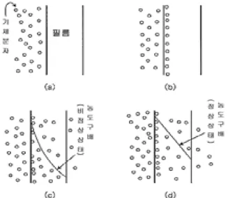 Figure 2.  비다공질 필름(플라스틱필름)에서의 기체 투과  단계. (a) 흡착  및  (b)  용해과정, (c) 초기  확산과정, (d)  정상 상태의 확산과정.