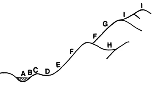 Figure  1.  Model  diagram  of nine  microtopographic  positions. 