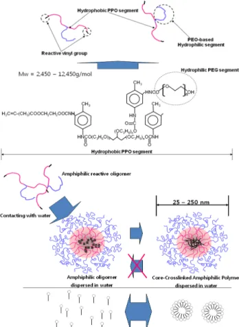 Figure 1. Schematic presentation for amphiphilic reactive  precursor, NARO and core-crosslinked amphiphilic polymer  (CCAP) nanoparticle dispersed in water
