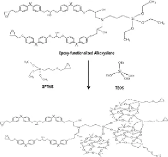 Figure 2. Schematic presentation for epoxy/silica nano- nano-hybrids synthesized by the reaction between EAS-ES and  mixture of GPTMS and TEOS.