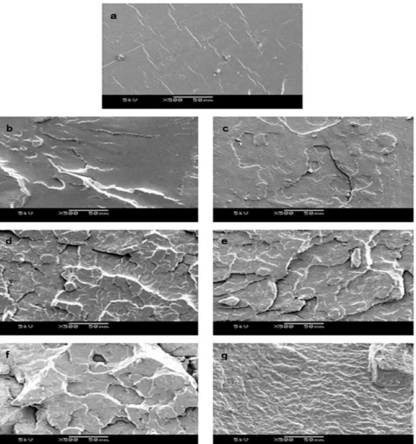 Figure 8. SEM micrographs of the fracture surfaces of PLA (a), PBS (g) and PLA/PBS blends (b-f) with various blending  ratios by weight