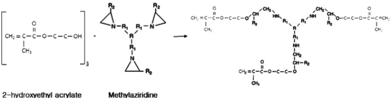 Figure 2. Reaction between methylaziridine and 2-hydroxyethyl acrylate.