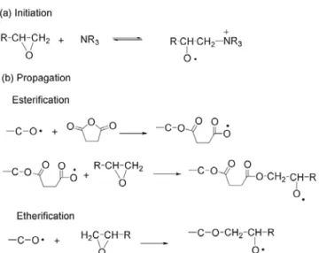 Figure 1. Reaction scheme of a catalyzed epoxy/anhydride  system. [4-7].  다양한  에폭시  수지와  경화  조성물에  대한  많은  경화  조건의  변화에  따른  경화  거동은  많은  연구자들 에  의해서  광범위하게  연구되어  왔다[8-14]