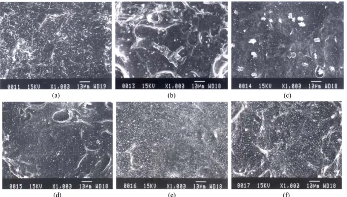 Figure 2. SEM photographs of plasma-treated EVA foam surface with various treatment time (×1,000)