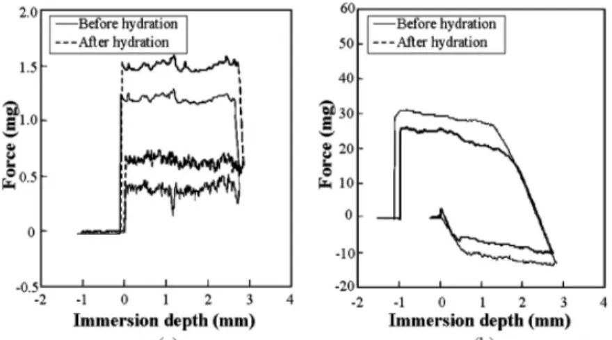 Figure 7. Dynamic contact angle of the untreated Jute fiber and PP composites in water: for (a) the untreated Jute fiber and  (b) PP