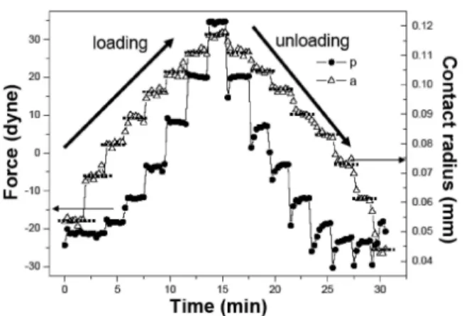 Figure 5. a 3 -P plot from data of Figure 4 for loading and unloading process.