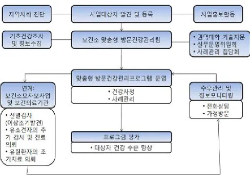 Figure 1. Tailored home visiting care model for child.
