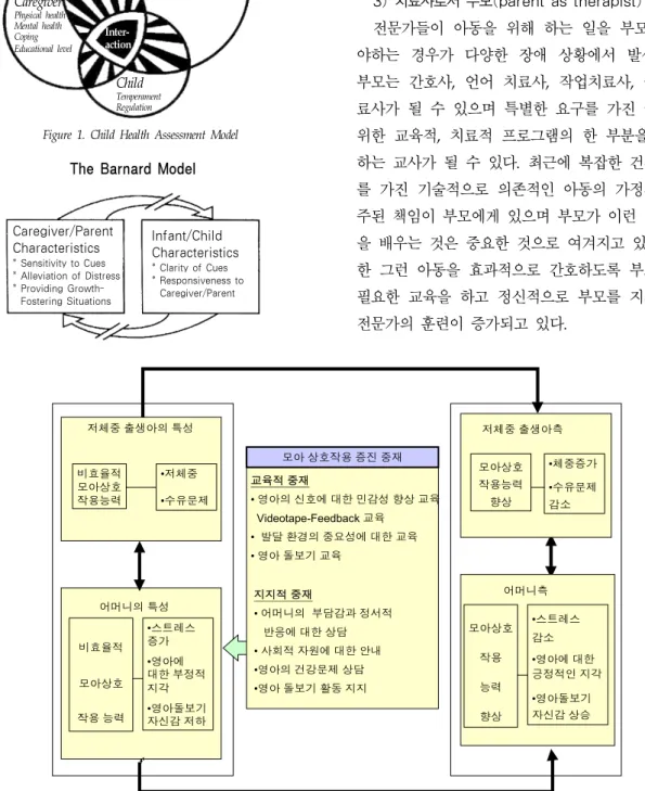 Figure  1.  Child  Health  Assessment  Model