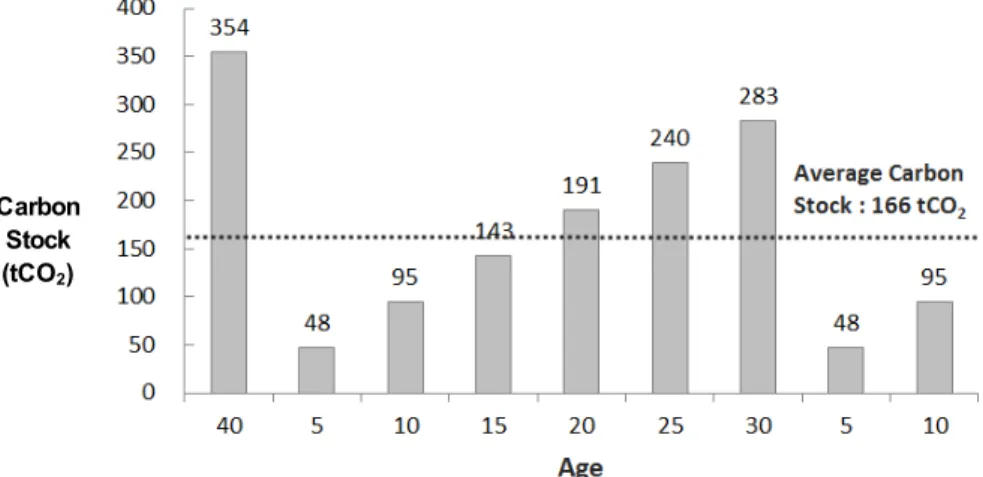 Fig.  1.  Average  carbon  stock  of  the  baseline  scenario  for  Larix  leptolepis  during  the  project  period.