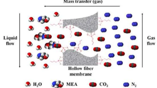 Fig.  1.  Schematic  diagram  of  mass  transfer  mechanism  in  the  membrane  contactor.